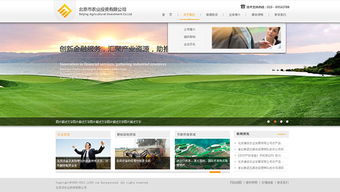 網(wǎng)思中國 高端網(wǎng)站定制與建設(shè)維護的行業(yè)典范